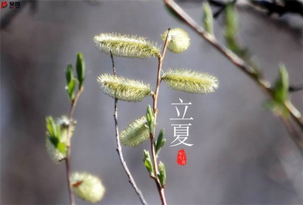 轉(zhuǎn)載網(wǎng)上圖片——立夏